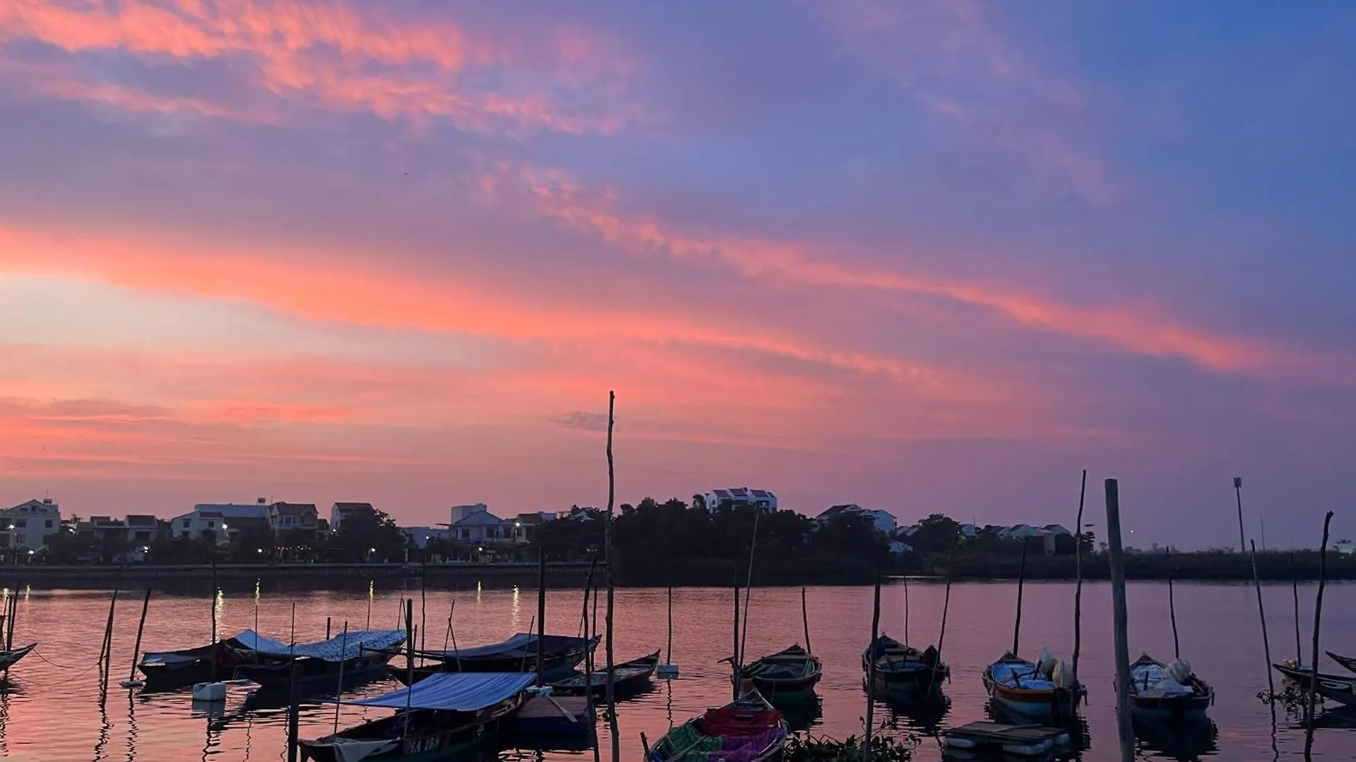 ホテル Daisy Homestay Hoian ホイアン